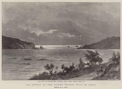 The Effect of the Recent Seismic Wave in Japan by Georges Ferdinand Bigot
